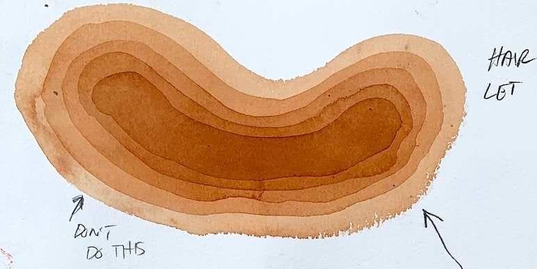 transparency watercolor painting for beginners Layering watercolor using wet-in-dry technique