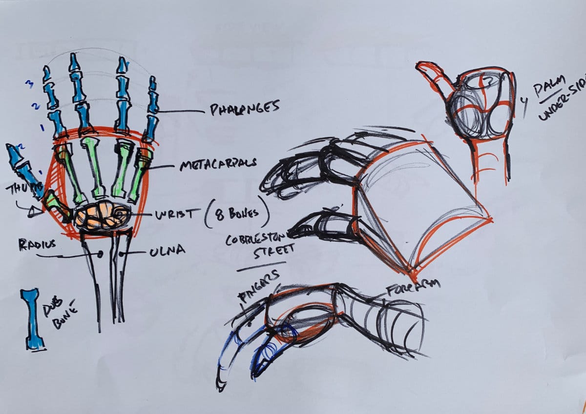 Step-by-step hand drawing construction using mitten method and box technique to build proper hand proportions and structure