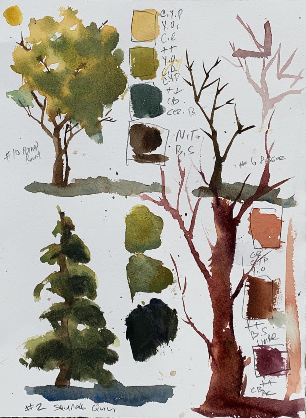Loose watercolor tree tutorial for beginners using wet-in-wet techniques