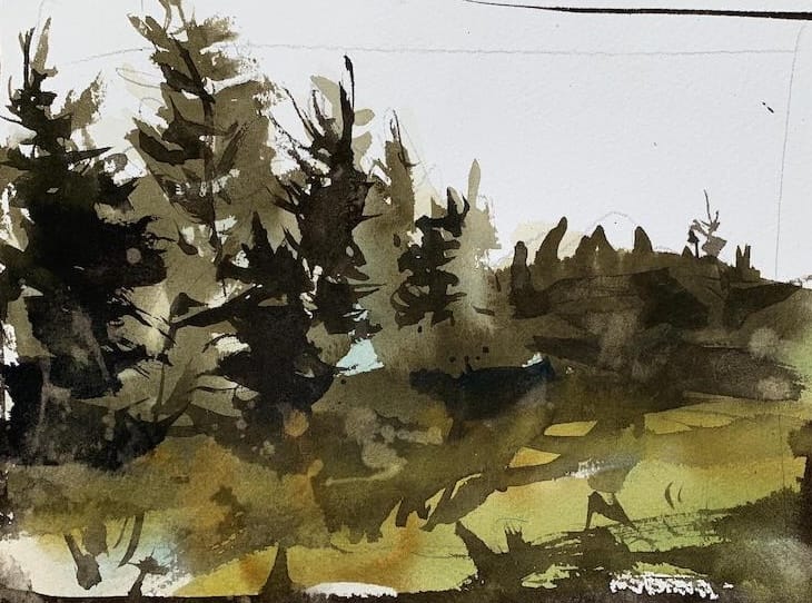 Pine Trees - Advanced watercolor landscape painting idea