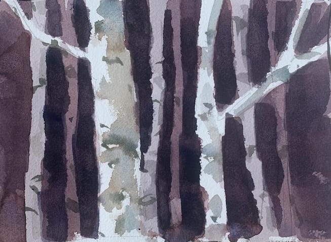 Watercolor landscape idea for intermediate artists - Birch Trees