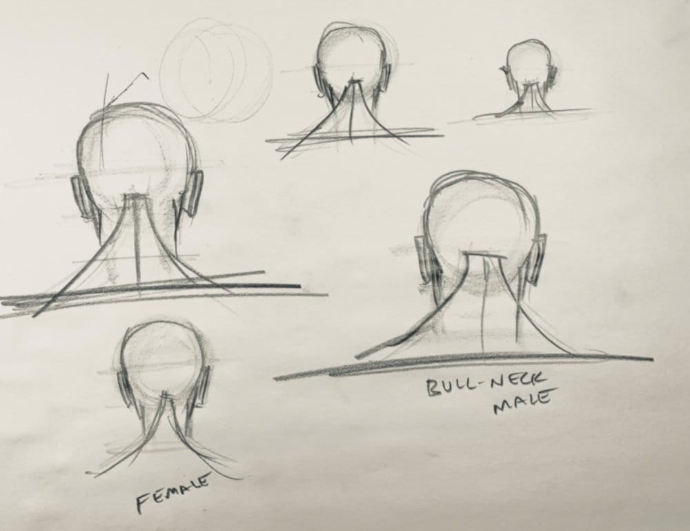 Multiple sketches showing back of head from different angles and sizes, including feminine and bull-neck male variations with trapezius muscles