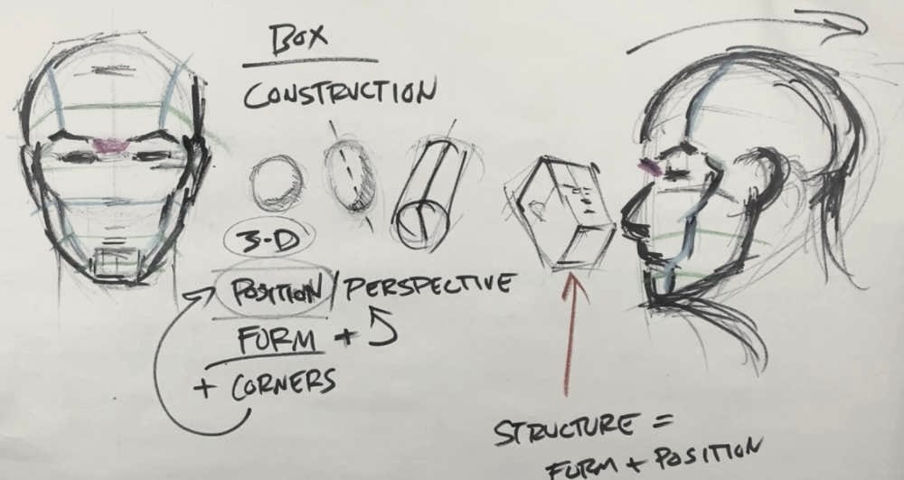 Front and profile head drawings with colored markers showing facial plane transitions, eyebrow landmarks, cheekbone placement, and front versus side plane divisions