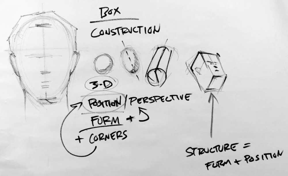 Diagram showing sphere, egg, tube, and cube shapes with annotations explaining form plus position equals structure, demonstrating why corners provide more information for head construction