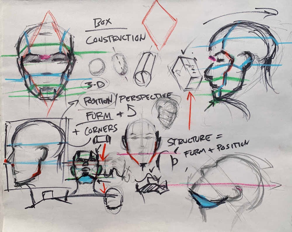 Multiple head construction drawings showing jawline structure, bilateral symmetry, jaw angle landmarks, digastric plane, and comparison between harsh angles versus proper curves
