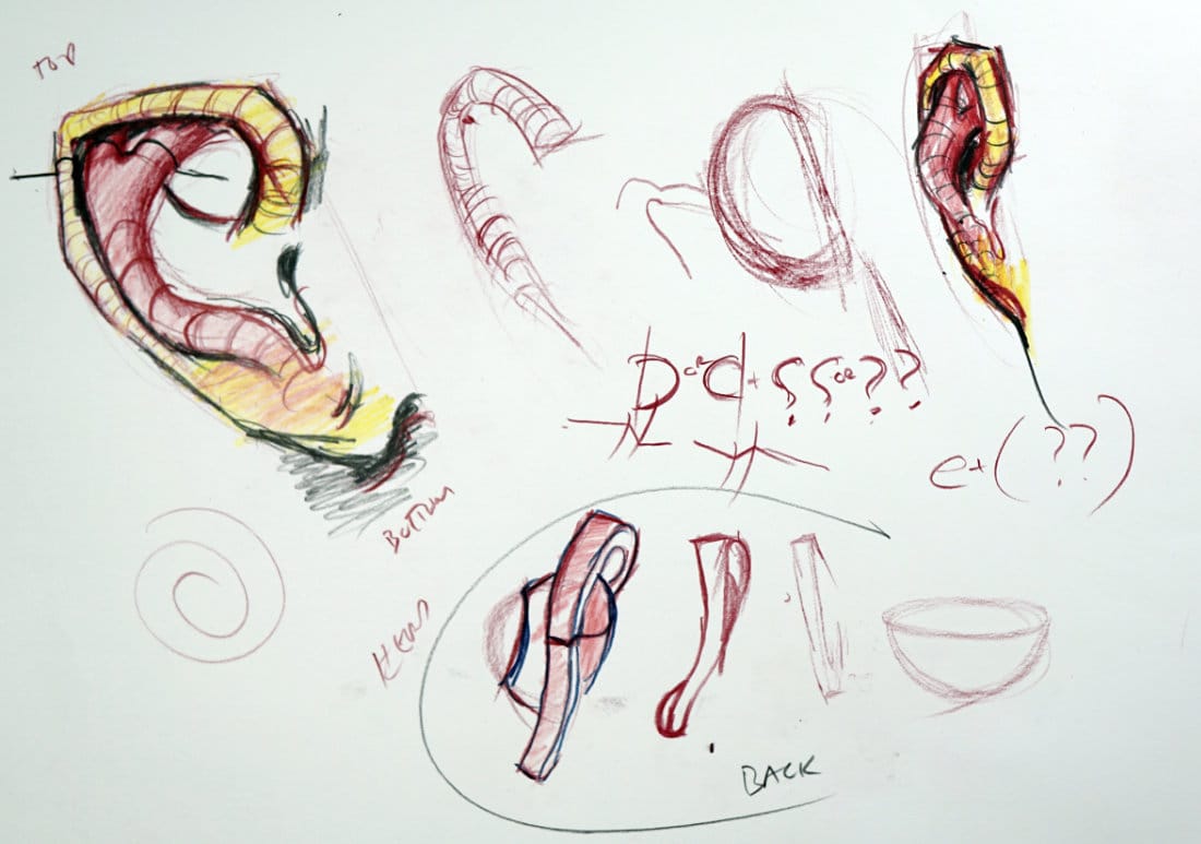 Sketches showing tubular ear structure with C and question mark forms illustrating helix, antihelix, and concha depth.