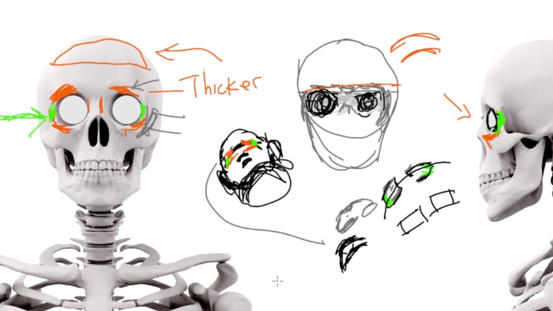 Diagram showing skull eye socket structure and brow ridge anatomy for artists
