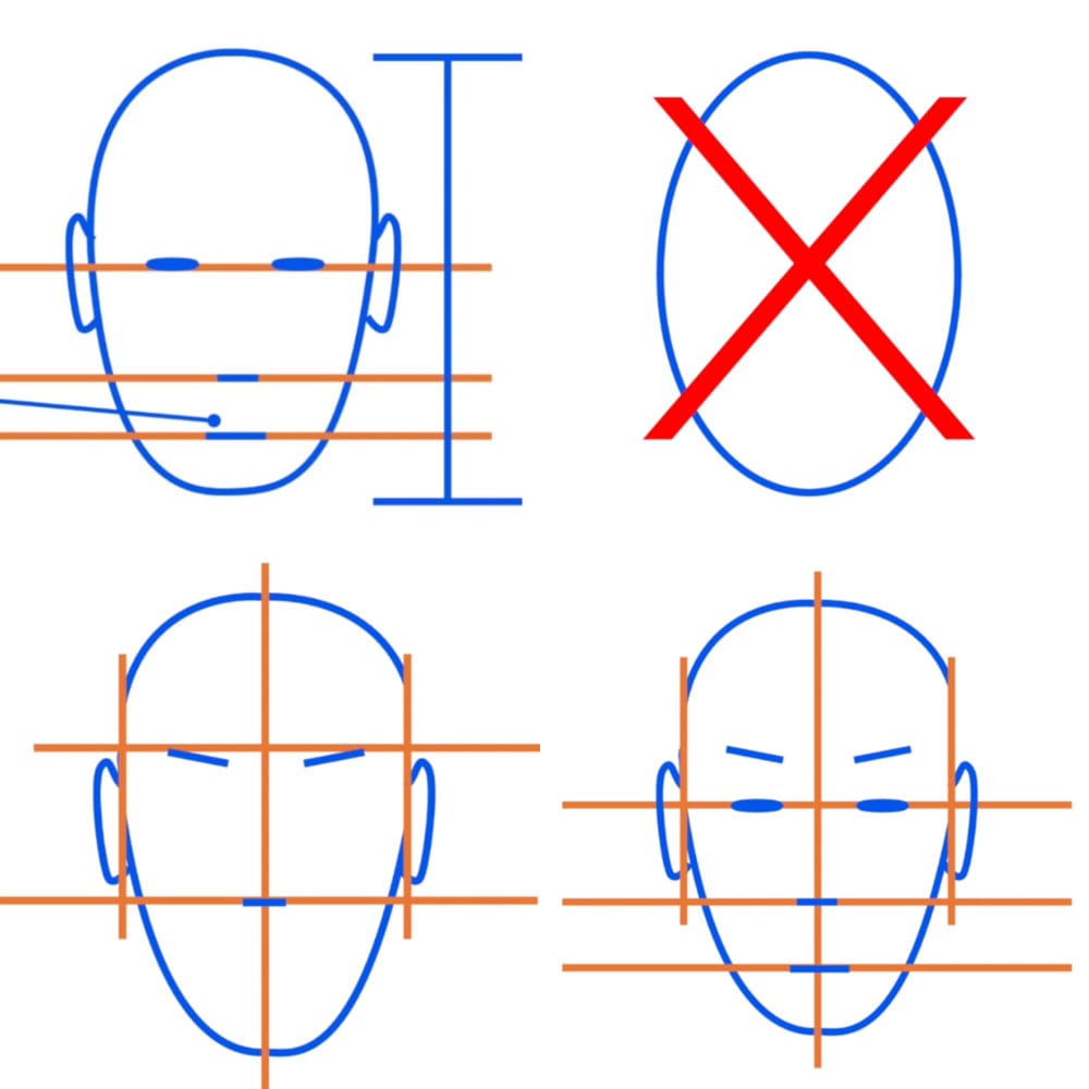 Diagram showing different front of skull proportion guides, including dividing the head into thirds, avoiding perfect ovals, and basic construction line variations for drawing the head.