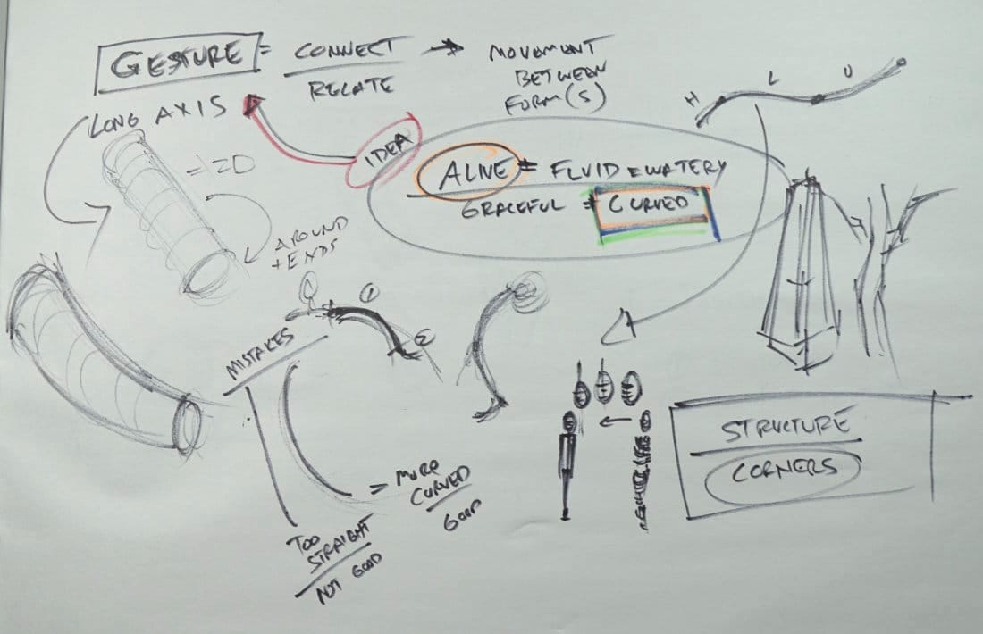 Gesture Basics: Movement Between Forms and Why Curves Matter