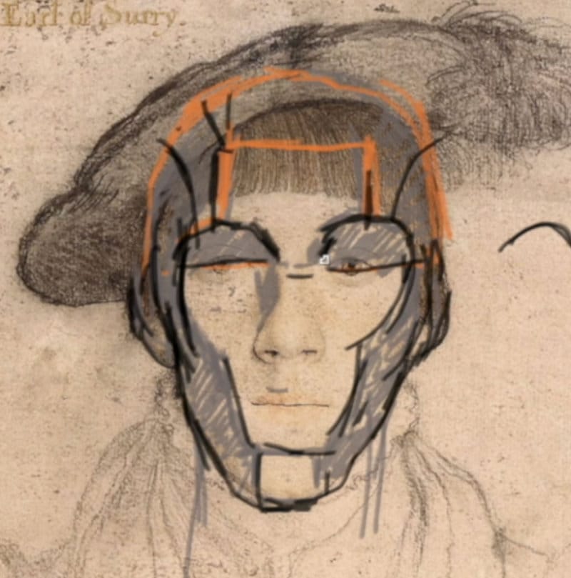 Holbein front view drawing with construction lines showing narrow chin, prominent cheekbones, and skeletal facial structure