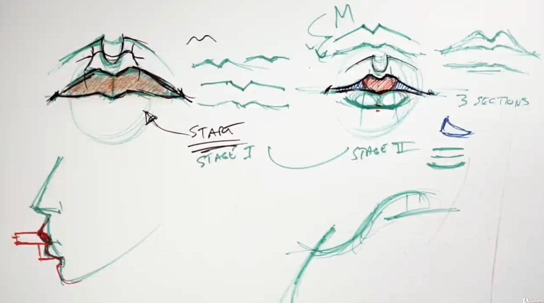 Mouth drawing demo showing how to draw upper and lower lips using simple three-section structure and muzzle form.