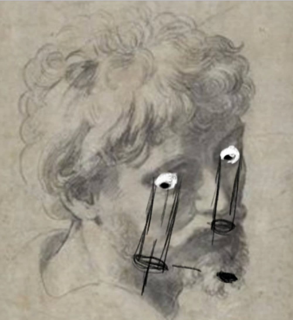 Raphael head study showing eye structure, perspective, and ellipse alignment