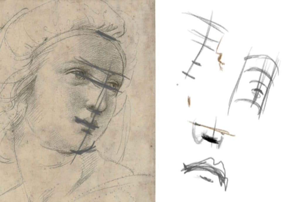 Master study showing Raphael mouth drawing with construction overlays demonstrating lip perspective, tracking, and light structure.