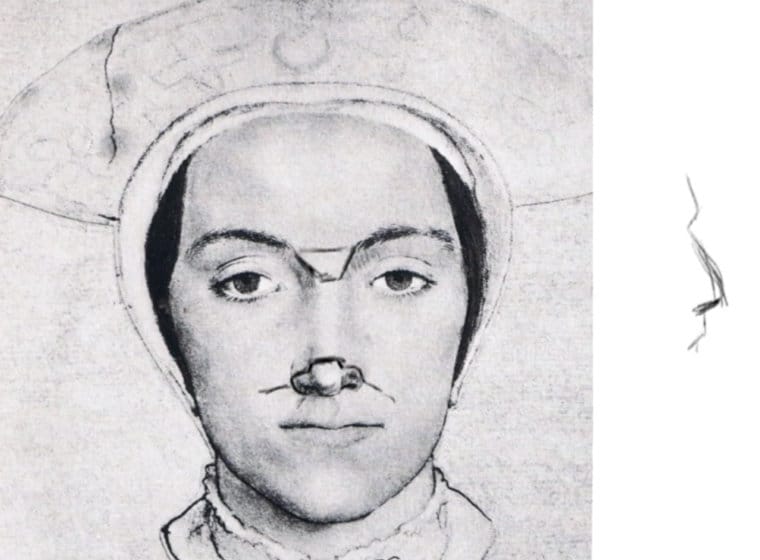 Master drawing showing subtle tonal planes of the nose with construction overlay.