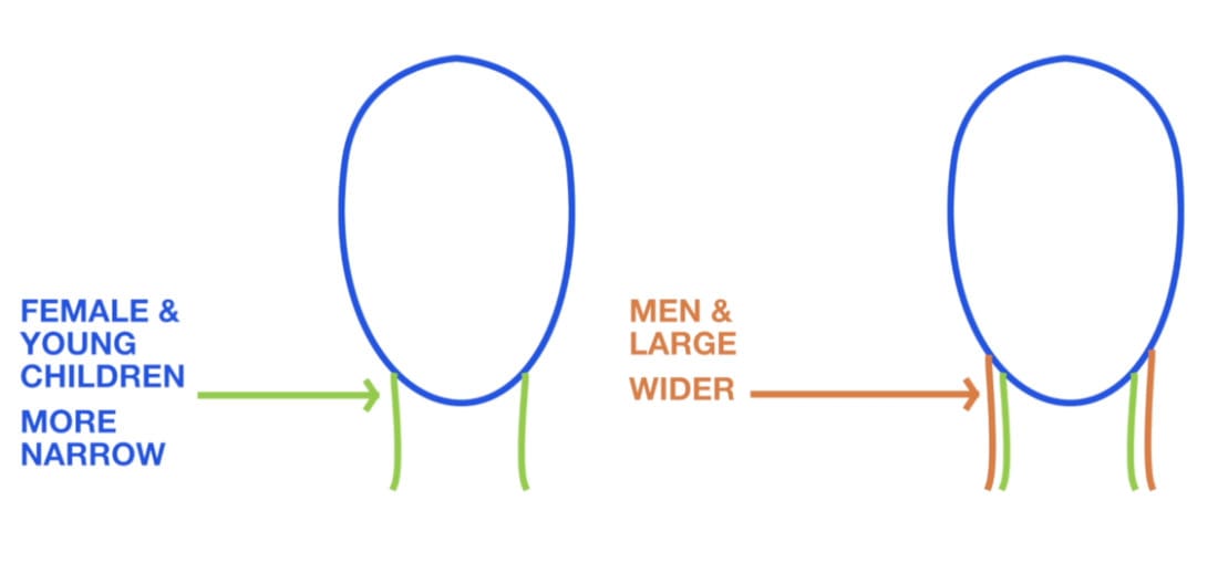 Comparison of neck width showing narrower necks for females and children versus wider necks for males and larger individuals