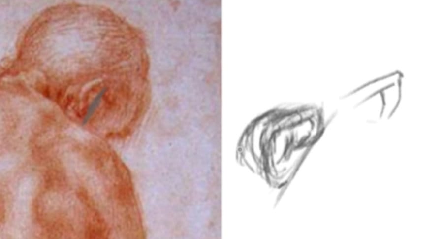 Renaissance drawing study showing Pontormo’s back view of the head with ear placement and subtle tubular form.