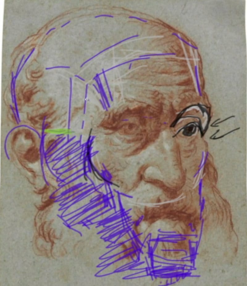 Raphael three-quarter view head drawing with purple construction lines mapping cheekbones, planes, and skull structure