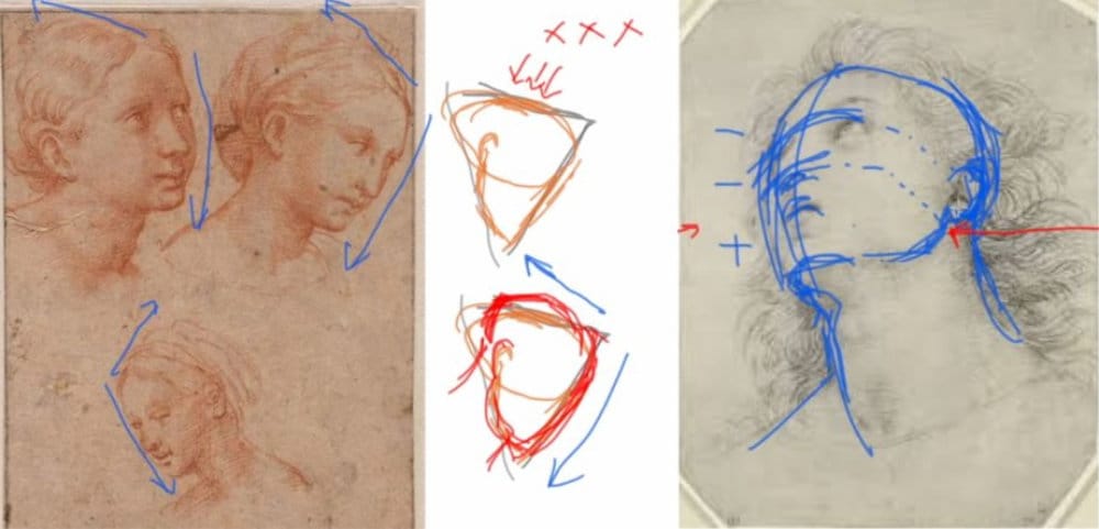 Raphael three-head study with blue directional arrows, middle diagrams showing incorrect (X marks) versus correct skull angles, and profile showing face-in-front-of-ear principle