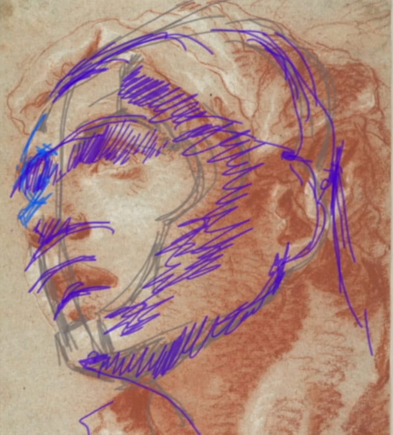 Raphael head drawing tilted upward with construction lines showing perspective, curved center line, and digastric plane
