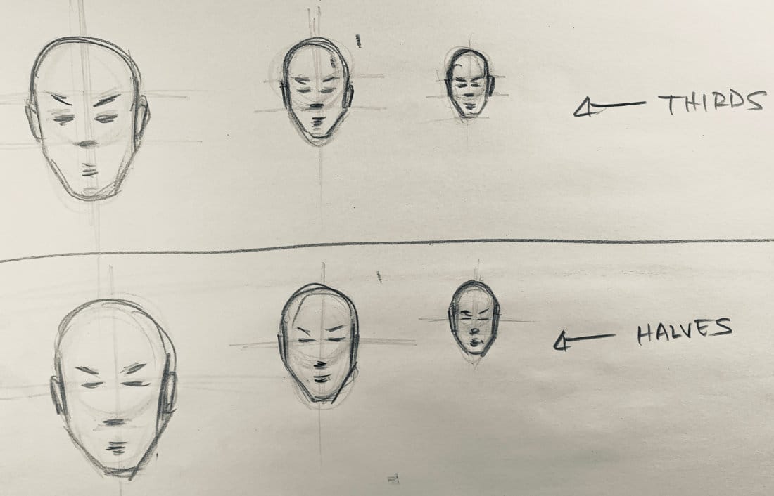 Six skull front view drawings demonstrating thirds method (top row) and halves method (bottom row) at large, medium, and small scales
