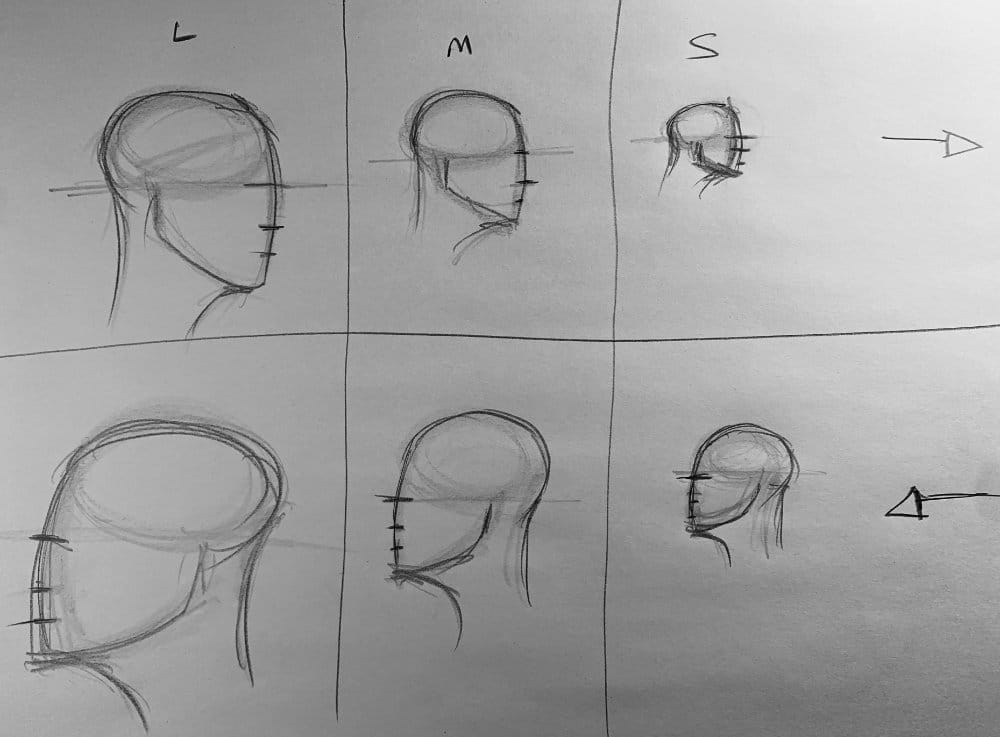 Six skull profile drawings demonstrating large, medium, and small sizes facing both left and right directions for practice variation