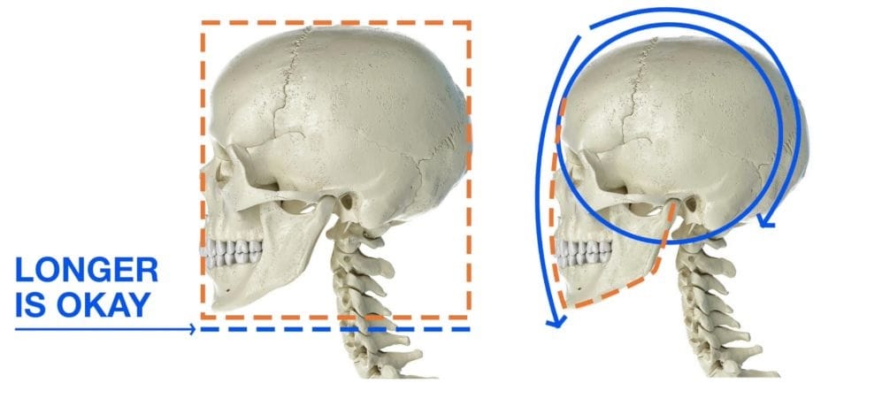 Two skull profiles comparing correct egg-shaped cranium versus incorrect spherical skull that creates alien appearance