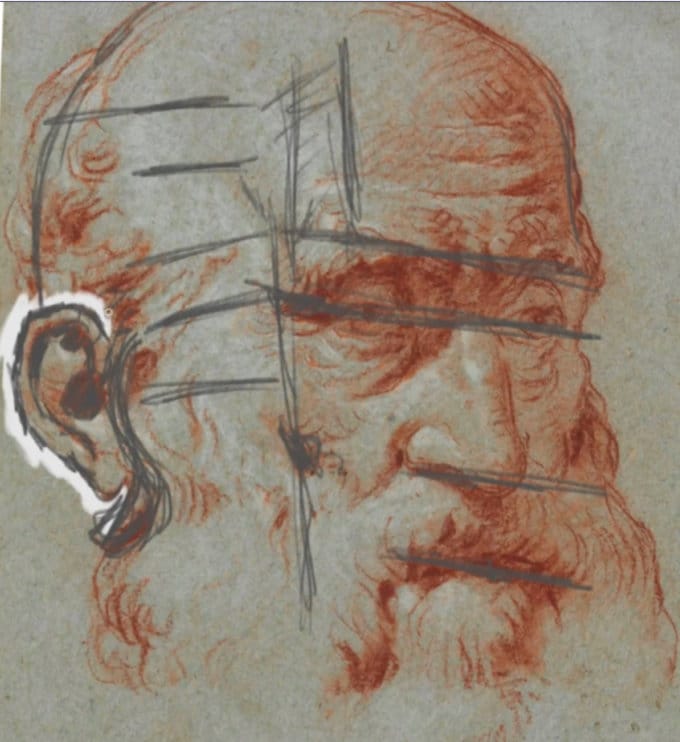Classical drawing of an older man by Tiepolo showing strong ear structure, shading, and angular rhythm.
