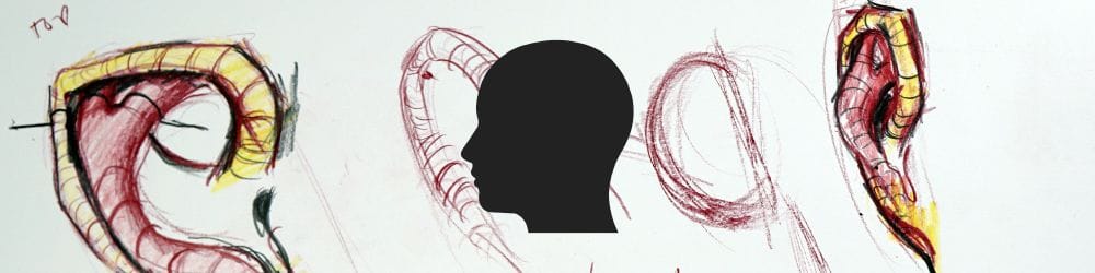 Ear Drawing: Understanding Inner Ear Structure hero image