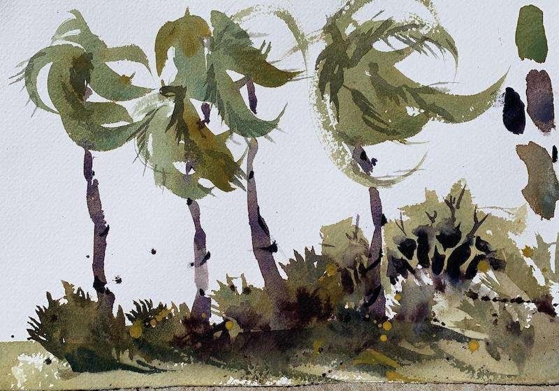 Palmettos with Watercolors