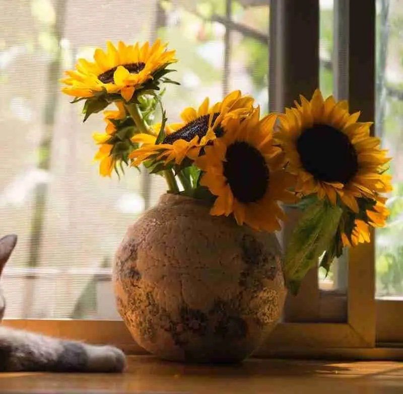 Sunflower Inspiration image