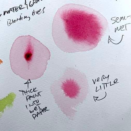 watercolor techniques; explore thin and thick paint into wet paper